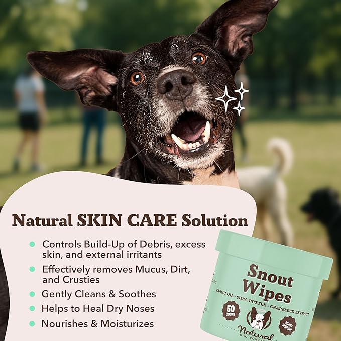 Natural Dog Snout Wipes, 50 Count - Snout Dog Wipes for Cleaning and Soothing, Natural, Non-Toxic Dog Care Products, Kukui Oil Infused, Snout Soother Wipes, Nourishing and Moisturizing Wipes for Dogs