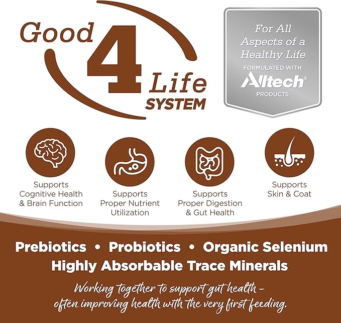 NutriSource Grain Free Dry Dog Food for Large Breeds, Lamb Meal, Salmon Meal and Peas, 26LB