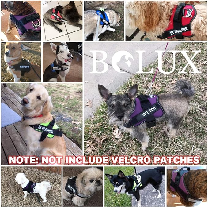 Bolux Dog Harness, No-Pull Reflective Dog Vest, Breathable Adjustable Pet Harness with Handle for Outdoor Walking - No More Pulling, Tugging or Choking (Rose red, L)