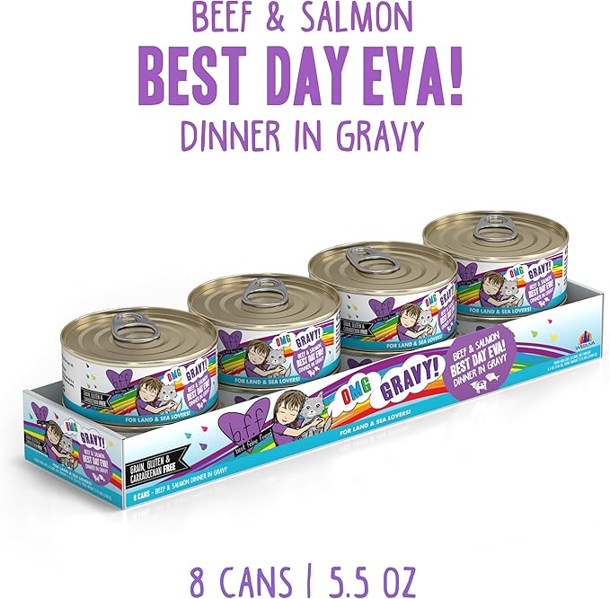 Weruva B.F.F. OMG - Best Feline Friend Oh My Gravy!, Best Day Eva! with Beef & Salmon in Gravy Cat Food, 5.5oz Can (Pack of 8)