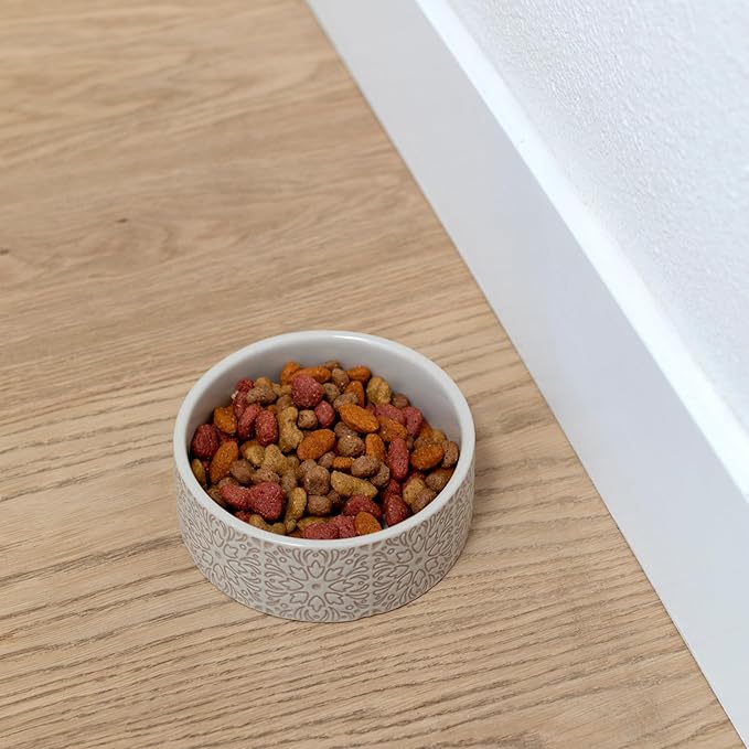 Fringe Studio Sevilla Tile Sand Small Ceramic Imprinted Pet Bowl (5" Diameter x 1.75" H, 12 fl.oz.), PetShop Collection (785SM001)