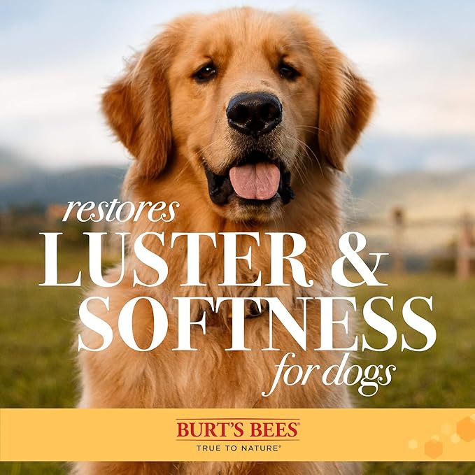 Burt's Bees for Dogs Double Sided Pin & Hemp Bristle Dog Brush | Best All-Purpose Dog Brush to Reduce Shedding | for Long & Short Haired Large Dogs, Bamboo