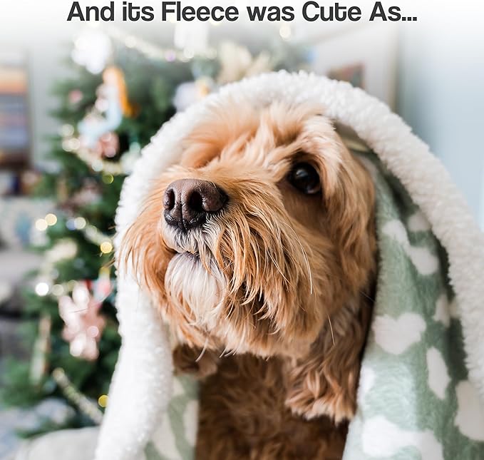 Cat Blanket for Indoor Cats – 29" Soft Sherpa Fleece Pet Throw, Washable Reversible Dog Blanket for Small Dogs, Cats, Kittens, Couch Bed Sofa Car Protector – Sage