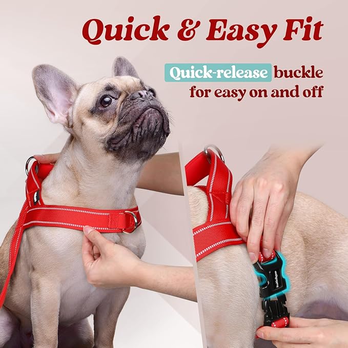 rabbitgoo Dog Harness No Pull, Quick Fit for Small Dogs with Soft Padded Handle, Chest Adjustable Reflective Pet Vest, No Choke Escape Proof for Walking Training, Red M