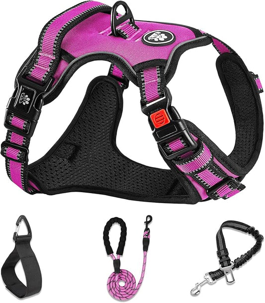 NESTROAD No Pull Dog Harness,Adjustable Oxford Dog Vest Harness with Leash,Reflective No-Choke Pet Harness with Easy Control Soft Handle for Small Dogs(Small,Fuchsia Pink)
