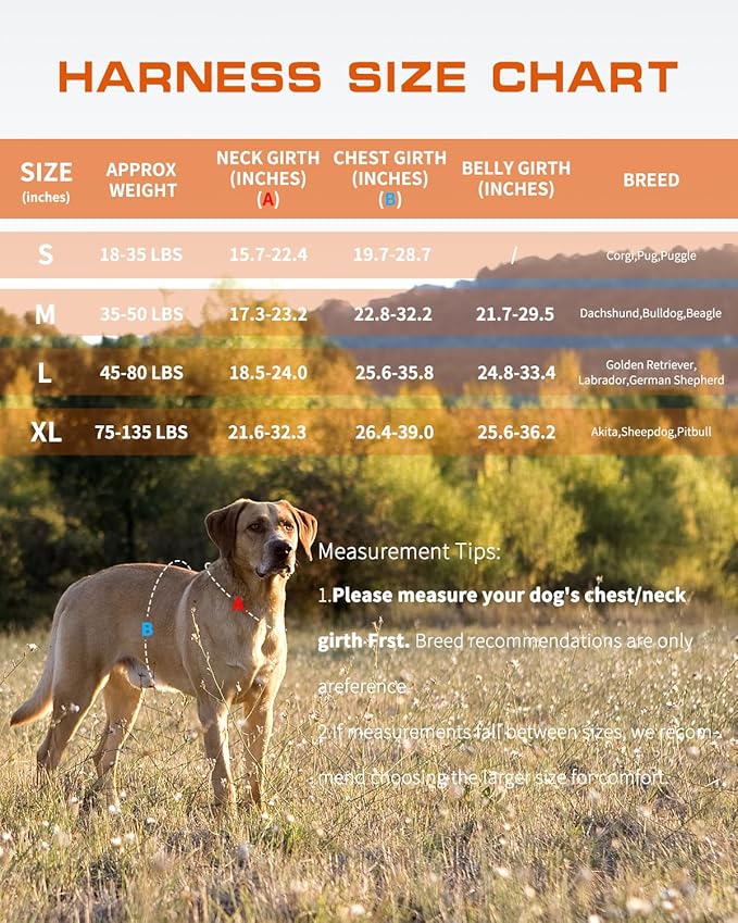 Tactical Dog Harness Medium Sized, Heavy Duty No Pull Dog Harness with Handle, Easy On and Off Service Dog Vest with Molle System, Reflective Pet Vest for Walking Hiking Training