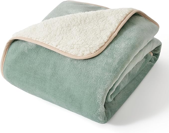 Bedsure Waterproof Dog Blankets for Small Dogs - Small Cat Blanket Washable for Couch Protection, Sherpa Fleece Puppy Blanket, Soft Plush Reversible Throw Furniture Protector, 25"X35", Light Green