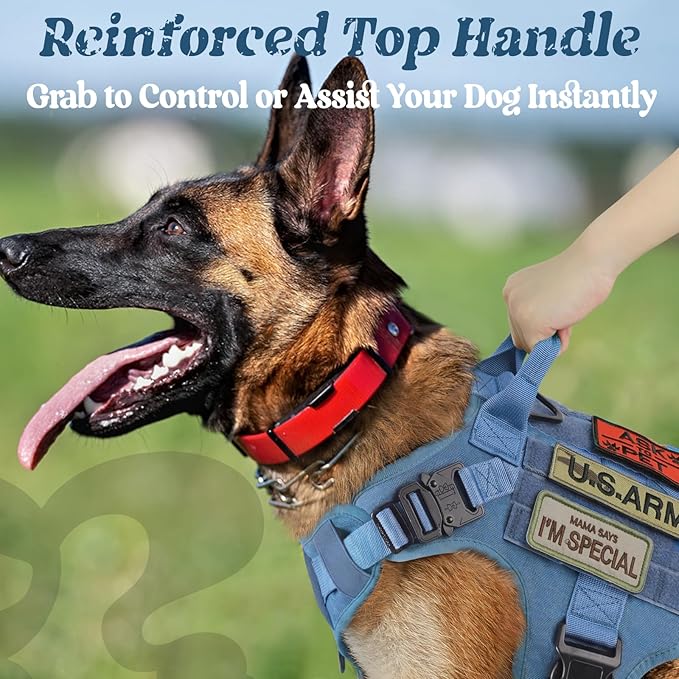 rabbitgoo Tactical Dog Harness for Large, Heavy Duty Pet Harness with Handle, No-Pull Service Vest Large Breed, Adjustable Military Dog Vest for Training Hunting Walking, Blue, XL