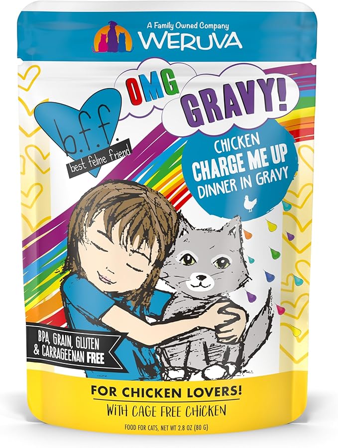 Weruva B.F.F. OMG - Best Feline Friend Oh My Gravy!, Chicken Charge Me Up with Chicken in Gravy, 2.8oz Pouch (Pack of 12)