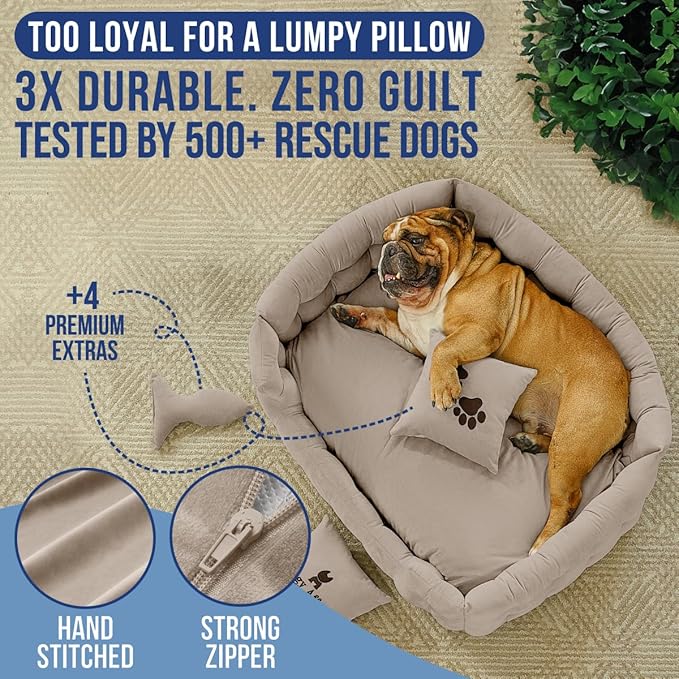 Luxury Dog Bed Chesterfield – Handcrafted Velvet Throne for Dogs | Joint Support, Calming & Temp-Regulating Comfort | Durable 5+ Years, Anti-Claw, Washable 100+ Times – L, Ivory