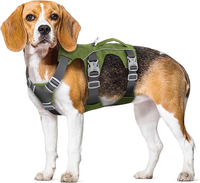 Escape Proof Dog Harness with Handle - Reflective No Pull Dog Vest, Lightweight Full Body Pet Harness Adjustable for Small Dogs Walking,Training(Blue,Chest:14-22")