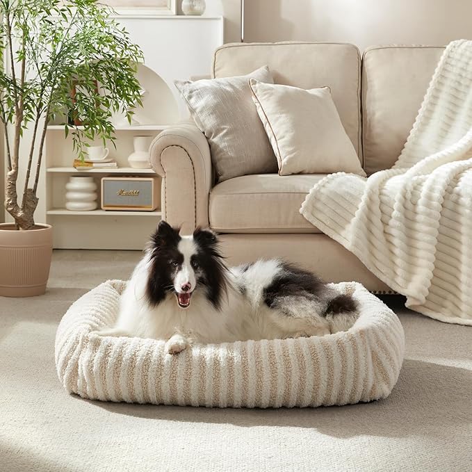 MIXJOY Small Dog Beds for Small Dogs, Washable Dog Bed with Removable Cover, Rectangle Calming Pet Beds, Warming Soft Sleeping Puppy Bed with Non-Slip Bottom, 20"x19"x6", White