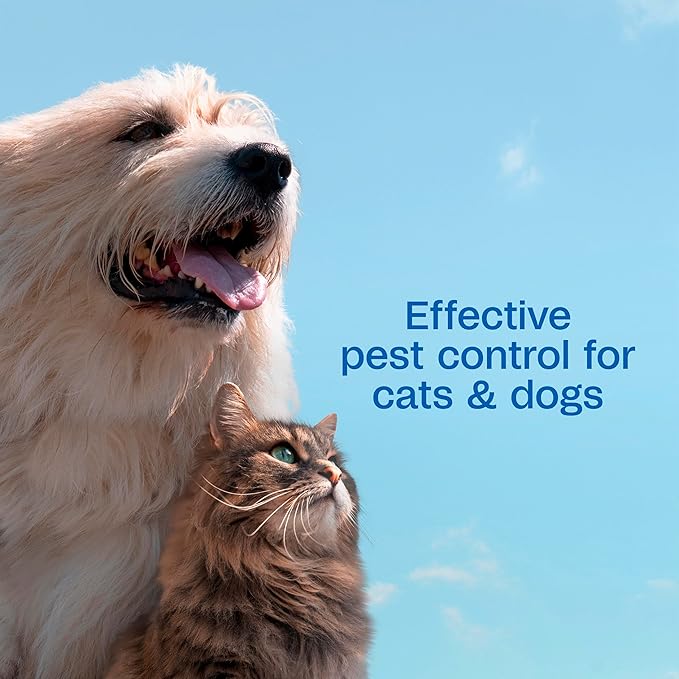 ADAMS Plus Flea & Tick Shampoo with Precor IGR for Cats, Kittens, Dogs & Puppies Over 12 Weeks Of Age, Sensitive Skin Flea Treatment, Kills Adult Fleas, Flea Eggs, Ticks, and Lice, 24 Ounces