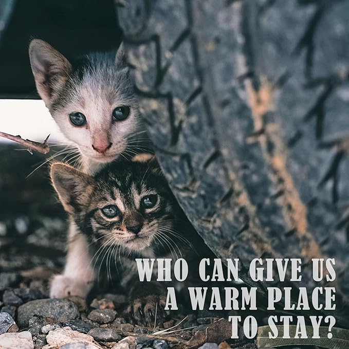 PETNF Outdoor Cat Heating Pad - Safe Waterproof Electric Warming Mat for Feral Cats, Fits Cat House Outside, 28"X16"