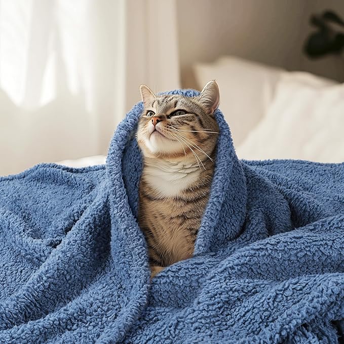 Luciphia Premium Fleece Dog Puppy Blanket Soft Pet Sherpa Calming Cat Blankets Throw for Small Medium Dog Cat(Haze Blue,30x20 inches)