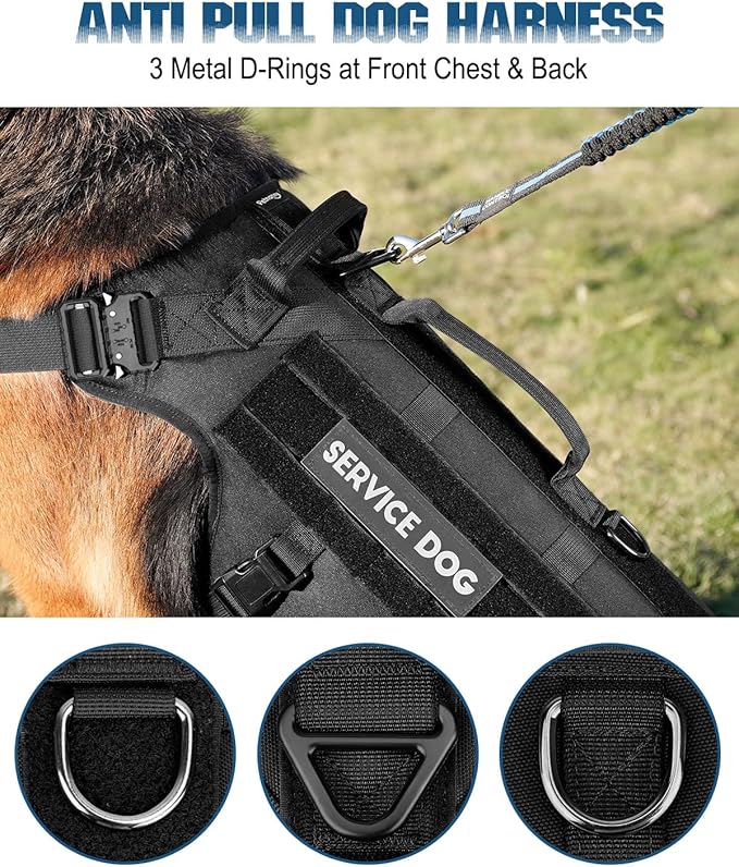 PETNANNY Tactical Dog Harness - No-Pull Service Vest for Large Breeds, with Hook & Loop Patch Panel & MOLLE System | Padded Handle for Walking, Hiking & Training (Black, L)