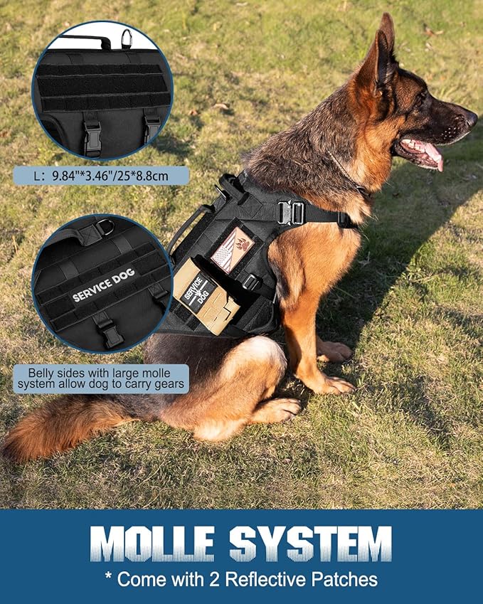 PETNANNY Tactical Dog Harness - No-Pull Service Vest for Large Breeds, with Hook & Loop Patch Panel & MOLLE System | Padded Handle for Walking, Hiking & Training (Black, L)