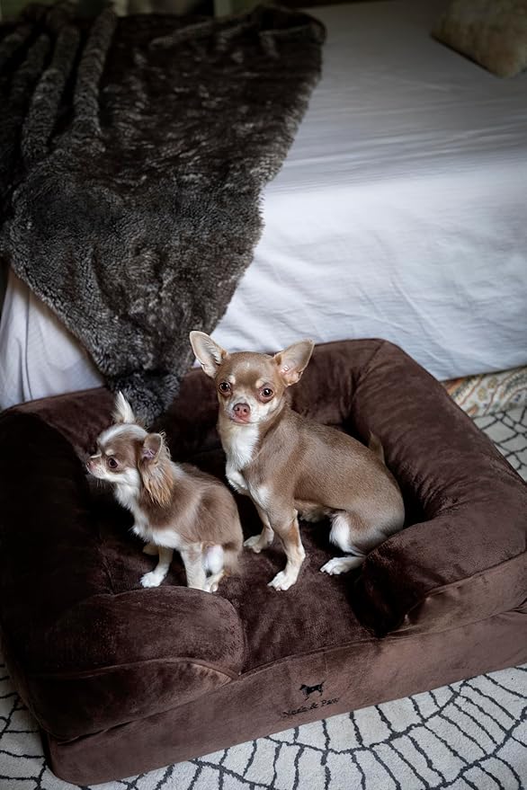 NOAH & PAW Dog Bed, 28x23x11 Inch, Orthopedic Dog Beds for Medium Size Pets, Eggshell Memory Foam Infused with Cooling Gel, Inner Cover, Waterproof, Machine Washable (Velvet Sofa Collection)