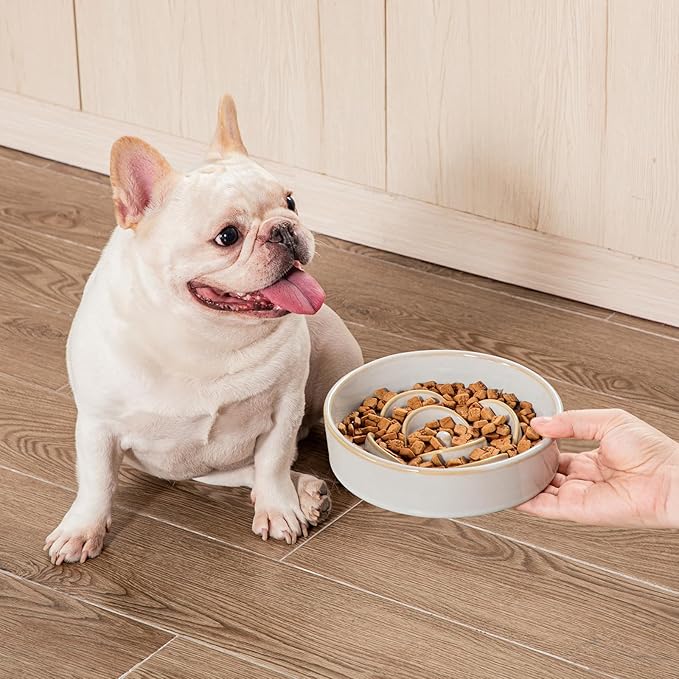 vancasso Slow Feeder Dog Bowl, 0.6 Cups Ceramic Dog Food Dish for Fast Eaters Small Breed, Puzzle Bowl for Small Dogs and Cats, Light Gray