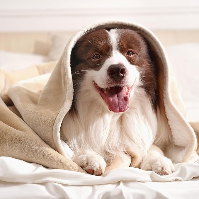 gogobunny Dog Blanket, Waterproof Reversible Sherpa Fleece Throw Blanket, Furniture Cover for Bed, Couch, Sofa Protection from Liquid Pee and Pet Fur of Puppy, Cat (Beige, 30x70 inches)