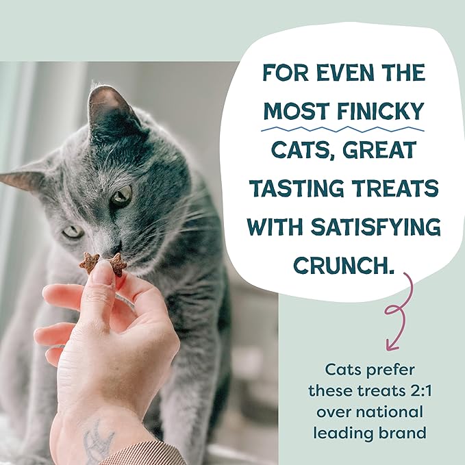 Shameless Pets Crunchy Cat Treats - Kitty Treats for Cats with Digestive Support, Natural Kitten Treats with Real Chicken, Healthy Flavored Feline Snacks - Cran You Say Chicken, 12 oz