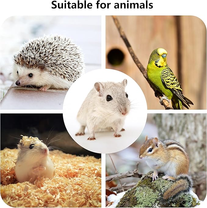 Hamster Wooden Platform with Legs Small Animal Climbing Ladder Standing Rat Guinea Perch Chew Toy Cage Accessories (Platform-Large)