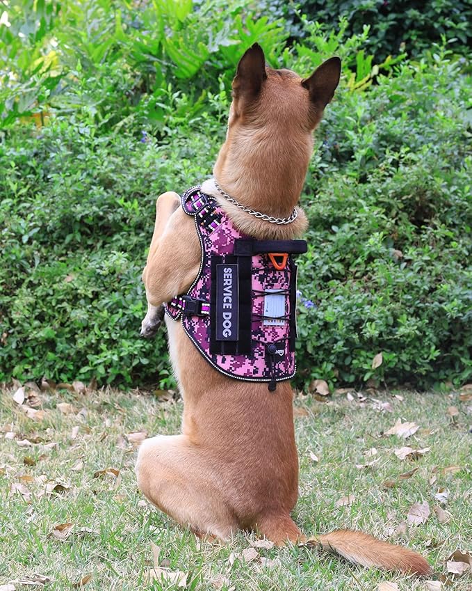 PETNANNY Tactical Dog Harness Reflective with ID Card,Service Dog Vest Harness for Medium Large Dogs,Emotional Support Vest with Padded Handle,2 Reflective Patches for Training Hunting(Purple Camo,XL)