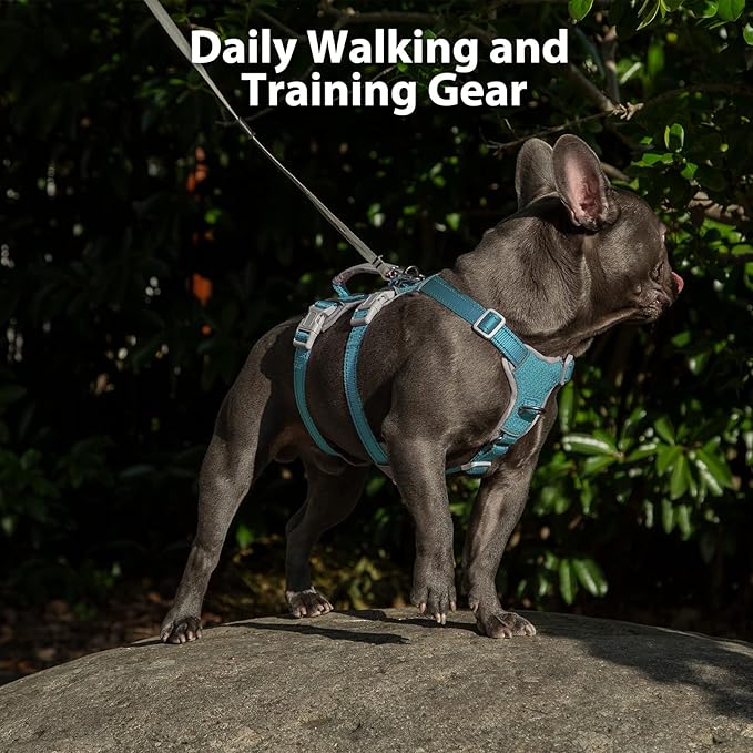 Huntboo Escape Proof Dog Harness, No Pull Reflective Harness with Lift Handle, Adjustable Pet Vest with Front and Back Leash Clips for Small Medium Large Dogs Walking Hiking Training (Teal,XL)