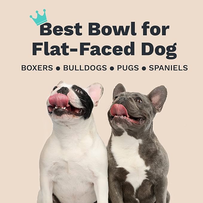 Enhanced Pet Bowl – Slanted Stainless Steel Dog Bowl for Flat-Faced Breeds Like Bulldogs, Pugs, Frenchies – Raised Back, No-Spill, Reduces Gas & Mess – Large Size, Non-Slip, Food-Grade