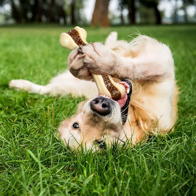 Sosation Bones Shaped Dog Toys for Aggressive Chewers, 2 Pack Dog Chew Toys Puppy Teething Nylon Beef Flavor for Large/Medium/Small Puppies Breeds(Curved Bone,Large, Medium)