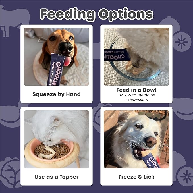 Choolip Squeeze Vita Stick Lickable Cat and Dog Treats – 7-Count Brain Support Sticks with Multivitamins, Soft Squeezable Paste for All Life Stages, Supporting Brain Health