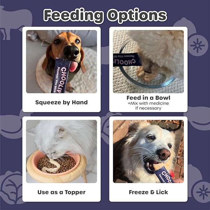 Choolip Squeeze Vita Stick Lickable Cat and Dog Treats – 49-Count Brain Support Sticks with Multivitamins, Soft Squeezable Paste for All Life Stages, Supporting Brain Health