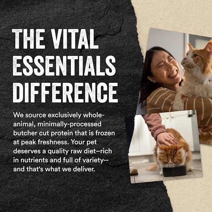 Vital Essentials Minnows Cat Treats, 1 oz | Freeze-Dried Raw | Single Ingredient | Grain Free, Gluten Free, Filler Free