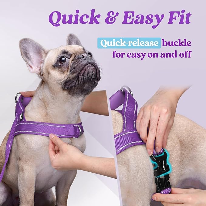 rabbitgoo Dog Harness No Pull, Quick Fit for Large Dogs with Soft Padded Handle, Chest Adjustable Reflective Pet Vest, No Choke Escape Proof for Walking Training, Purple M