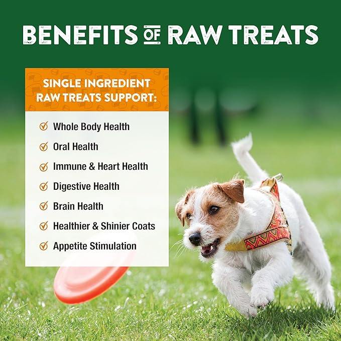 Northwest Naturals Raw Rewards Freeze-Dried Cheddar Cheese Treats for Dogs and Cats - Bite-Sized Pieces - Healthy, 1 Ingredient, Human Grade Ingredients, Natural, Proudly Made in USA, 6 Oz (Pack of 3)
