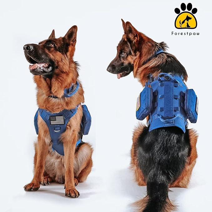 Forestpaw Tactical Dog Harness for Large Dogs,Tactical Dog Collar with Bungee Leash Set,No Pull Military Dog Harness for Walking Training,Adjustable for Medium Large Dogs,Blue,Chest 19.5-41.5"