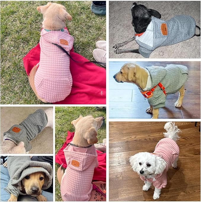 BEAUTYZOO Small Dog Hoodie Sweater with Pockets, Dog Clothes for Small Medium Dogs Boy Girl, Waffle-Like Laminated Cotton Pet Coats with Hat and Leash Hole, Grey XL