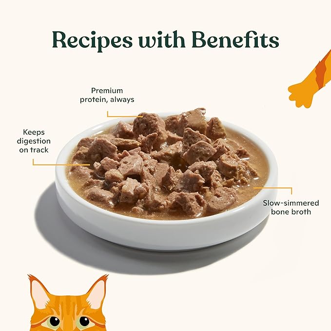 Made by Nacho Wet Cat Food Variety 12 Pack (3oz Each), Cage-Free Chicken, Sustainably Caught Salmon, Grass-Fed Beef with Bone Broth for Extra Hydration, Gravy Cut Pouches