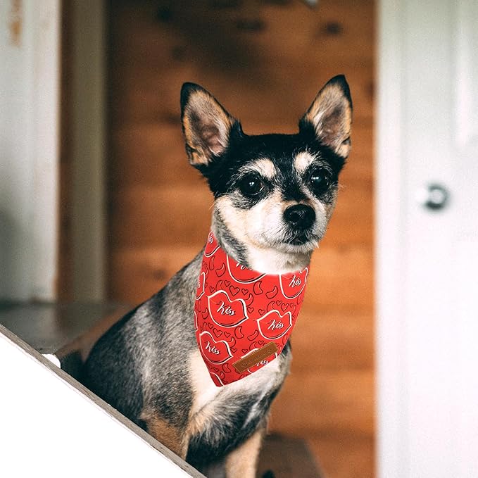 Realeaf Valentine's Day Dog Bandanas 2 Pack, Reversible Heart Dog Scarf for Boy and Girl, Premium Durable Fabric, Holiday Love Bandana for Large and Extra Large Dogs Pets (X-Large)