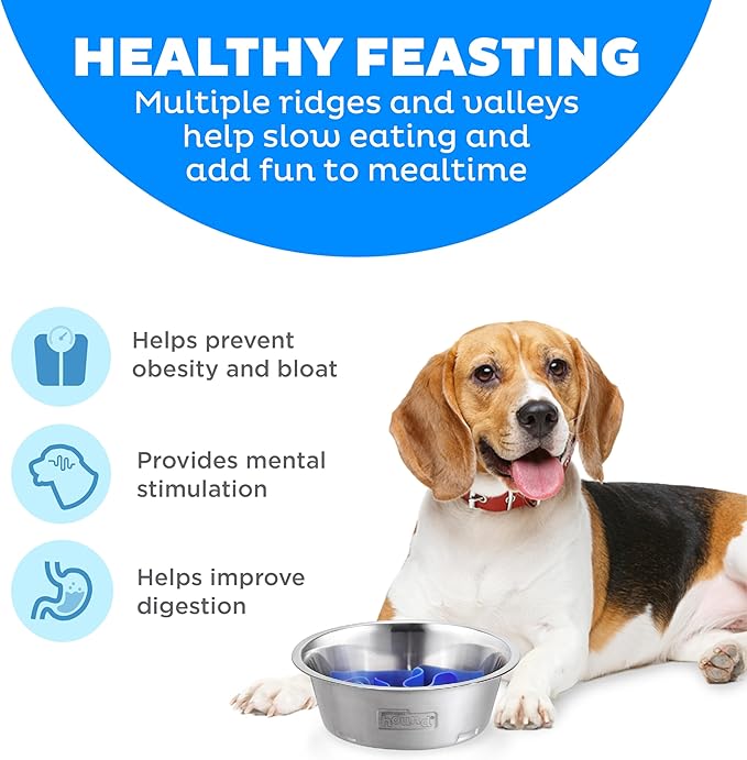 Outward Hound 2-in-1 Stainless Steel Slow Feeder Bowl, Puzzle Maze for Fast Eaters, Small to Medium Dogs, Helps Prevent Bloat & Aid Digestion, Holds 2 Cups Wet or Dry Food, Non-Slip, Made Without BPA