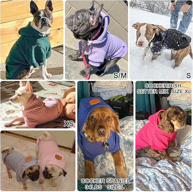 BEAUTYZOO Small Dog Hoodie Sweater with Pockets, Dog Clothes for Small Medium Dogs Boy Girl, Waffle-Like Laminated Cotton Pet Coats with Hat and Leash Hole, Pink XL