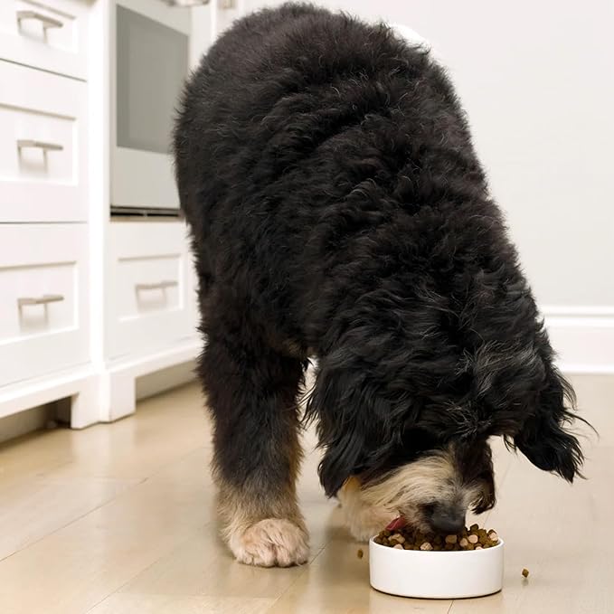 Open Farm, RawMix Grain-Free Dry Dog Food, Protein-Packed Kibble Coated in Bone Broth with Freeze Dried Raw Chunks, Pollock Beef & Salmon, Tide & Terrain Recipe, 3.5lb Bag