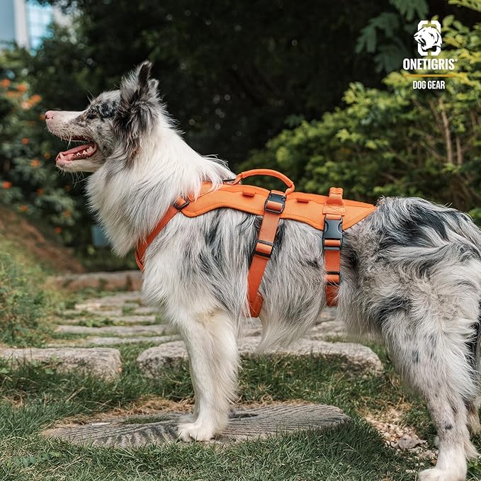 ONETIGRIS Escape Proof Dog Harness, No Pull Dog Harness with Handles, Tactical Multi-Use Support Dogs Harnes for Large Dogs Everyday Wear Walking Hiking Training (Orange, Large)