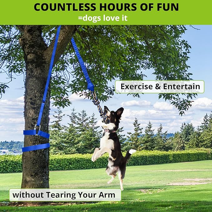 Dog Hanging Bungee Tug Toy: Interactive Tether Tug-of-War for Pitbull Small to Large Dogs to Exercise and Training Equipment - Outdoor Tree Tugger Dog Rope Toy with 2 Chew Rope Toys - Blue