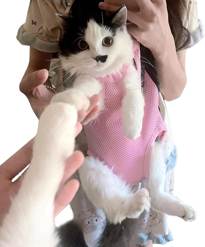 Pet Carrier Backpack - Adjustable Pet Front Cat Dog Carrier Backpack Travel Bag,Legs Out,Easy-Fit for Traveling Hiking Camping for Small Medium Dogs (Red, Medium)