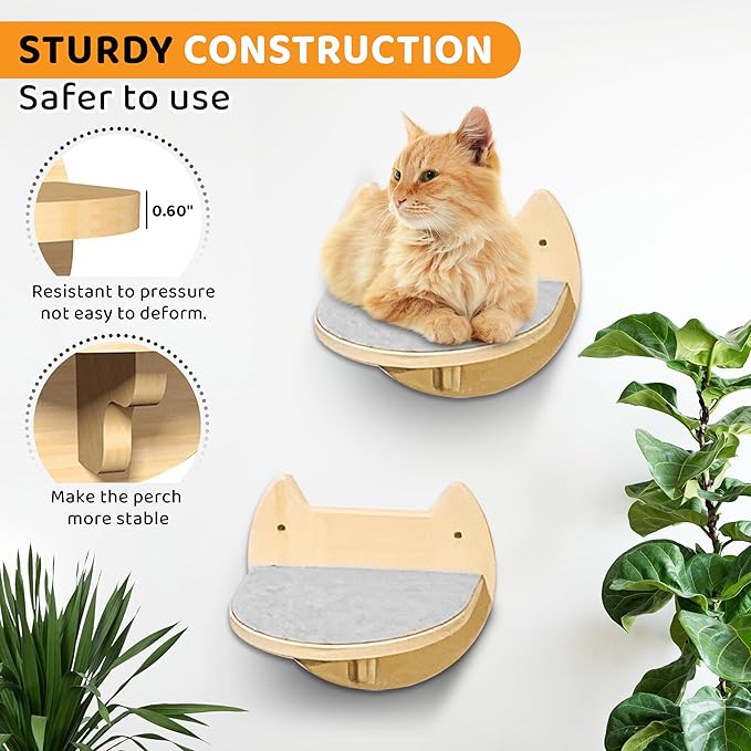 2 Pcs Cat Wall Steps – Indoor Premium Hardwood Cat Stairs – Cat Wall Shelves with Scratching Pads – Modern Wall Mounted Furniture for Climbing, Jumping & Lounging - for Large Cats