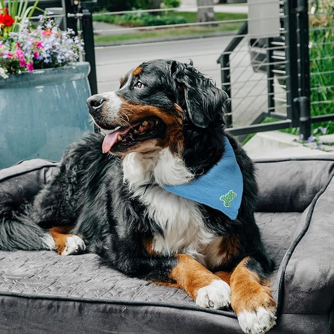 Solid Color Letter Embroidered Dog Scarf - Adjustable Cotton Bandana for Large Dogs,Blue,Large