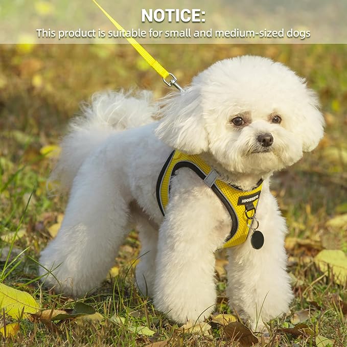 Dog Harness and Leash Set, Dog Harness for Dogs No Pull, No-Chock Step-in Reflective Breathable Lightweight Easy Walk Vest Harnesses with Safety Buckle for Small Medium Dogs, Cats (Yellow, M)