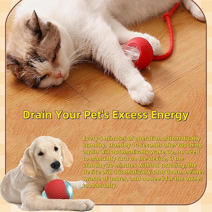 Interactive Dog Cat Toy Ball, Automatic Moving Bouncing Rolling, with Replacement Tail, Pet Smart Chase Ball Rechargeable, Enrichment Toys for Bored Indoor Adult Cats/Dogs (Grey)