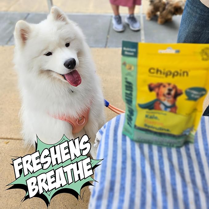 Chippin Natural Dog Treat, Spirulina, Kale Carrots, Healthy Meal Topper, Crunchy Vegan Dog Biscuit for Puppies, Seniors, Stops Grass Eating, Hypoallergenic, Gift, Sustainable Product